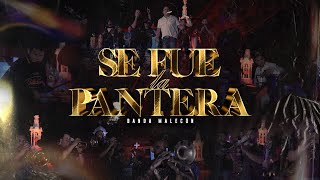 Se fue la pantera - Banda Malecon