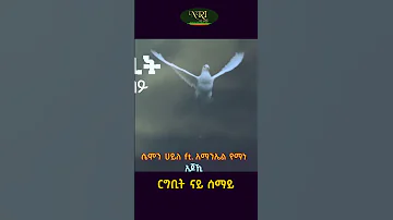 Samon Haile Ft Amanuel Yemane Ajohi አጆኺ New Ethiopian Music 2023 