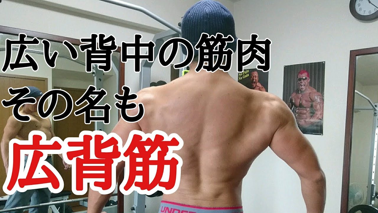 バーベルロウイングで広い背中 Youtube バーベルロウイングで広い背中 Youtube