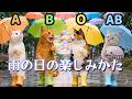 血液型あるある【猫】雨の日の楽しみ方がタイプ別に違いすぎる