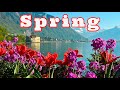 Весна в Швейцарии. Spring in Switzerland.