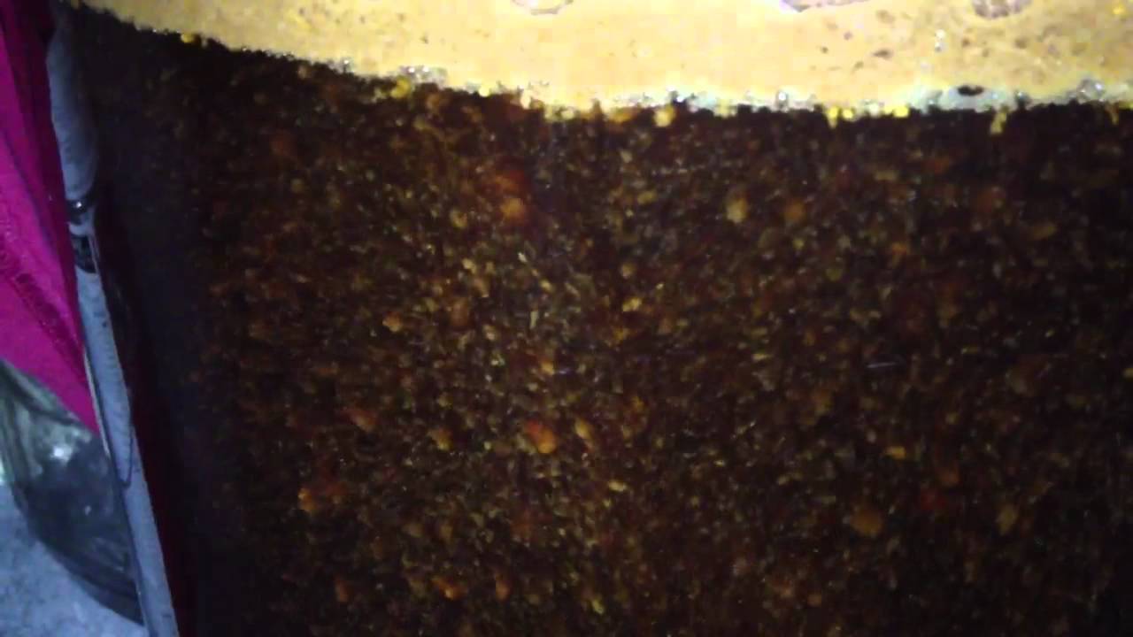 Swirling Wort Fermentation YouTube
