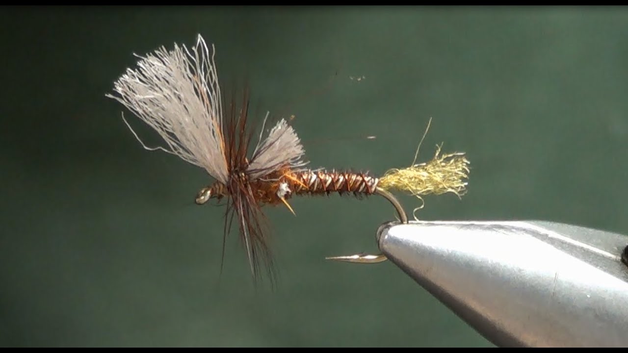 Cripling Insect Improved Cripple - YouTube