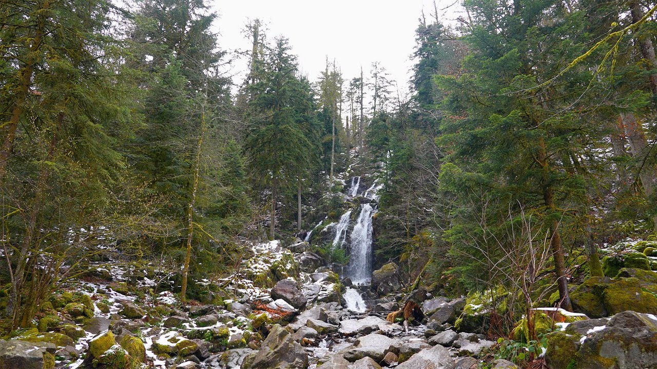 ❄️ Gérardmer : découvrir la nature des Vosges en hiver - Randonnée, lac, cascade, sport d'hiver