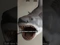 The prop sharks used in “Jaws” were all left to rot after filming