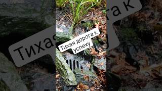 правила успеха #мудрость #мудрыеслова