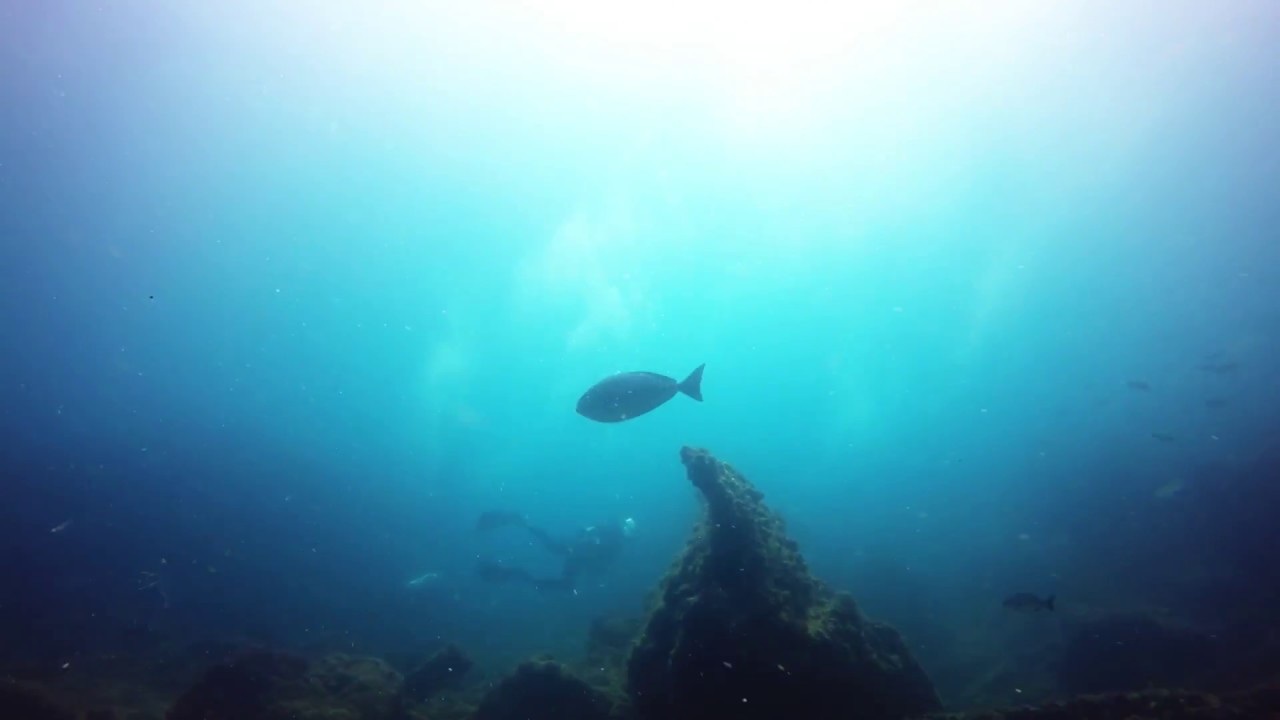Scuba Dive Historic Shipwrecks The Aarus & Marietta Dal 15-09-18