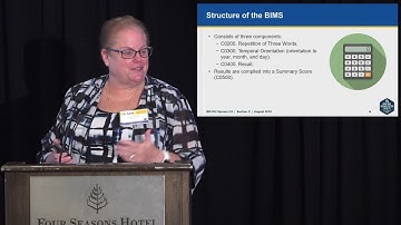 Section C: Cognitive Patterns