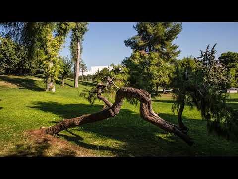 Video: 14 Geriausių Sauskelnių Maišelių Visiems Jūsų Poreikiams