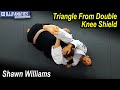 Triangle from double knee shield by shawn williams