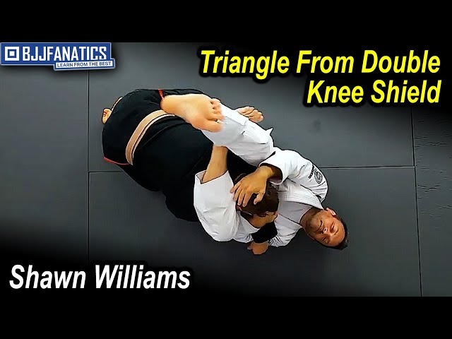 Shawn Williams ショーンウィリアムス 柔術 DVD BJJ Shawn Williams ショーンウィリアムス 柔術 DVD BJJ Shawn