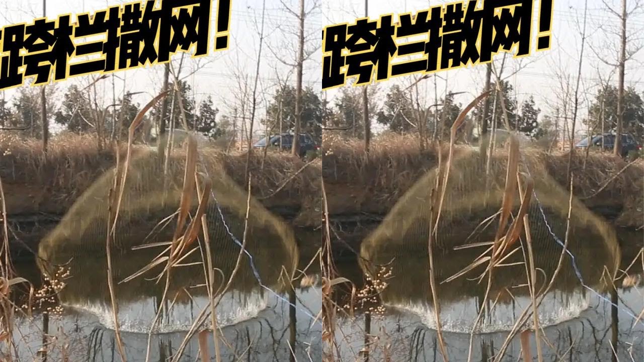 黎明喜得大侄子，路边跨2多米高芦苇撒网捕大鱼，给弟媳妇补身体 