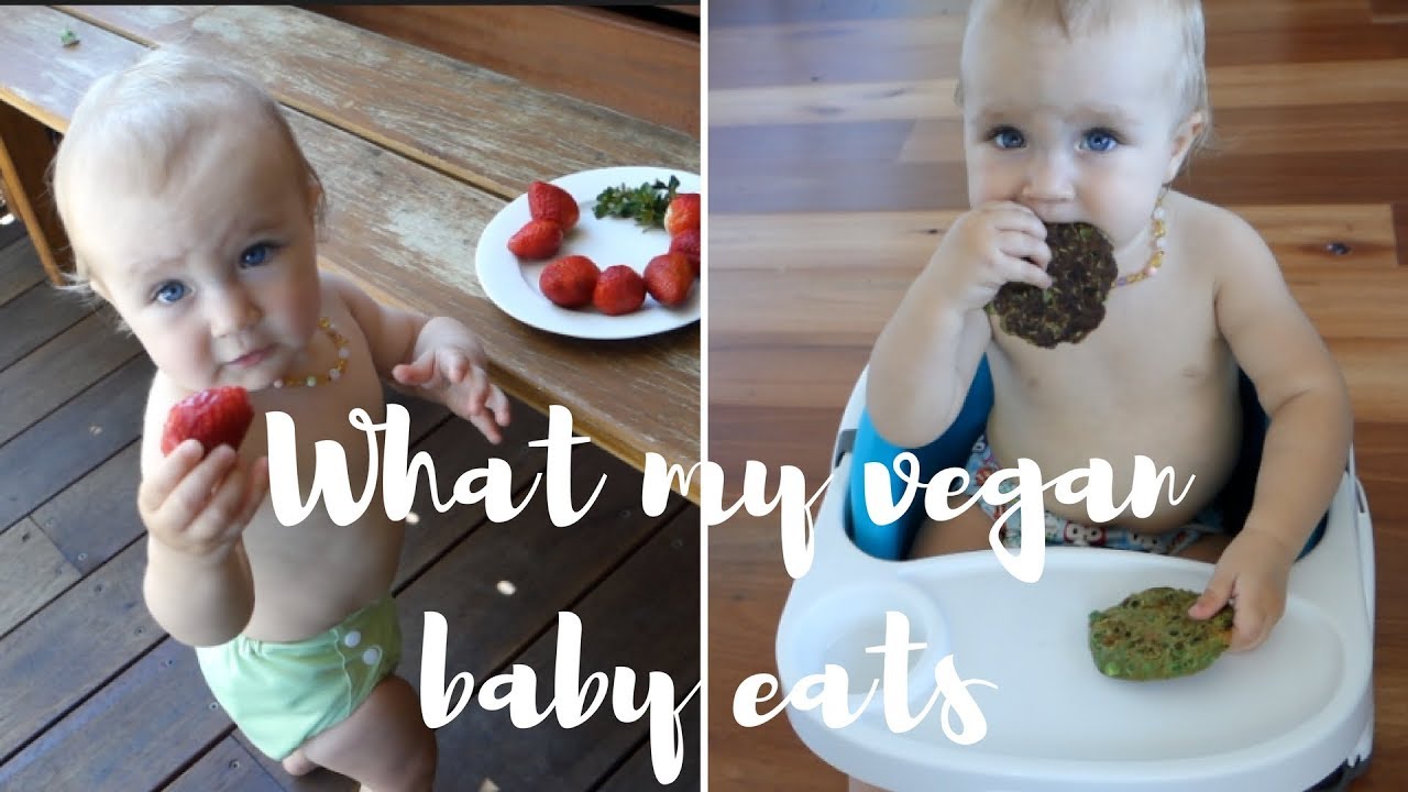 What my VEGAN BABY eats in a day VLOGG YouTube