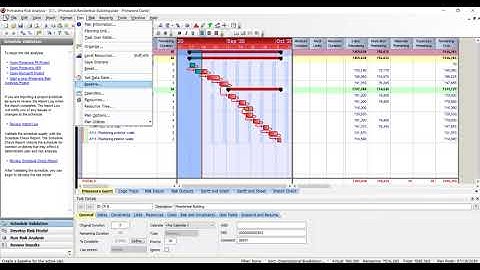 CPM (Risk analysis)-Project assignment for Skyfi Labs Online Course-by Yamini & Sriman