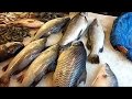 Amazing Fish Market || Big Fish Market Uttara Dhaka Bangladesh.