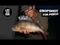 DROPSHOT FISHING FOR PERCH