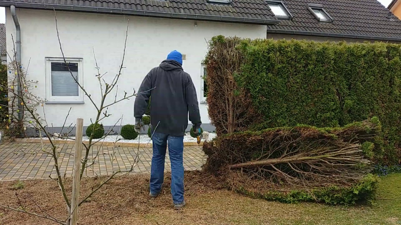 Hecke entfernen YouTube