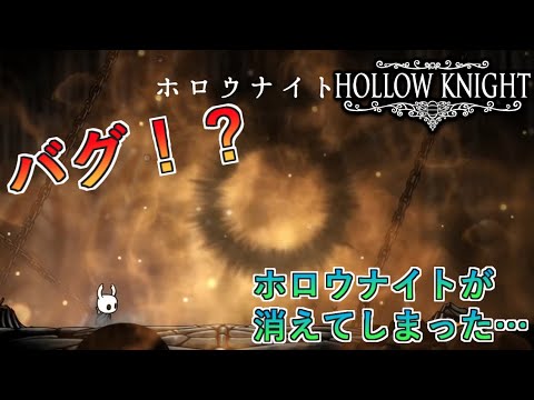 The Strongest Boss Created by a Bug!? I Beat the Invisible Hollow Knight No-Damage【Hollow Knight】