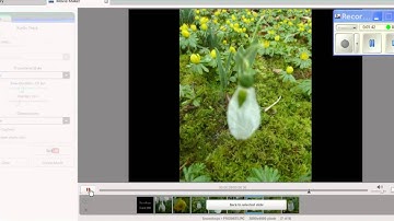 Picasa 3.8 Movie Maker Part 2.wmv