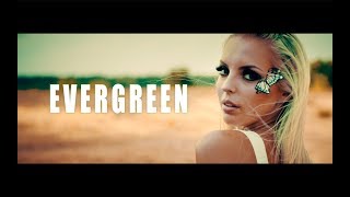 Смотреть клип Wasted Penguinz - Evergreen