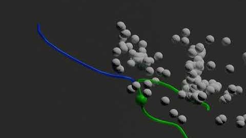 The COLLISION-COALESCENCE of water droplets inside atmospheric warm clouds
