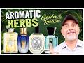 9 Aromatic Herb Fragrances Every Spring Lover Needs