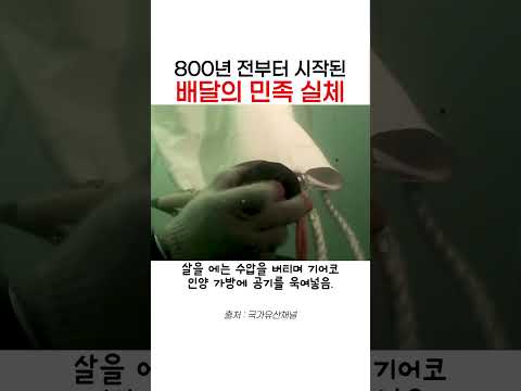 쇠못 단 1개도 없이  800년 동안 썩지 않고 심해를 버틴 800년 전 고려 장인들의 미친 기술력 thumbnail