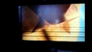 ♠MKW - Maple Treeway Glitch - inside the tree ♠