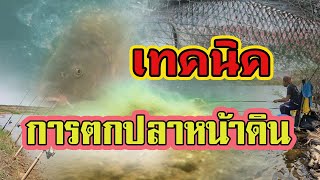 แนวทางการตกปลาหน้าดิน | น้ำจืด | เบื้องต้น