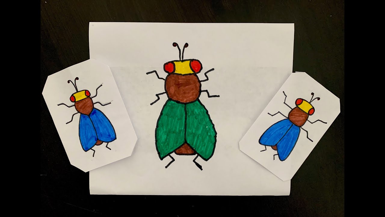 How To Draw A House Fly Easy How To Draw A House Fly Easy