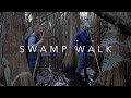 Walking In The SWAMP With ALLIGATORS