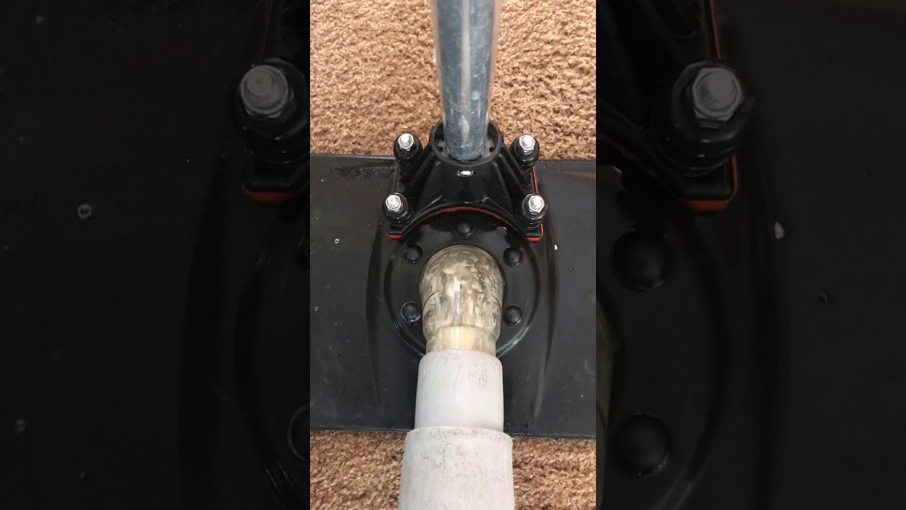 Pet Urine Removal Vancouver, WA - YouTube