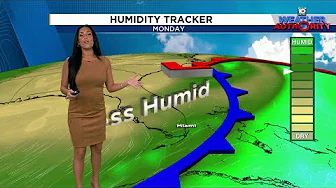 Local 10 Weather Video Forecast: 10/12/25 Afternoon Edition