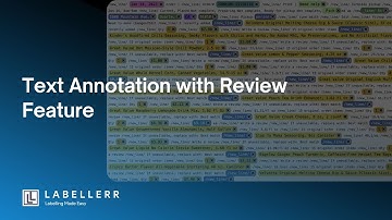Effortless Text Annotation with Interactive Review Features | Labellerr