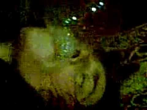 შეპყრობილი.. (უშვილობის დემონი) ეგზორციზმი/exorcism caught on tape