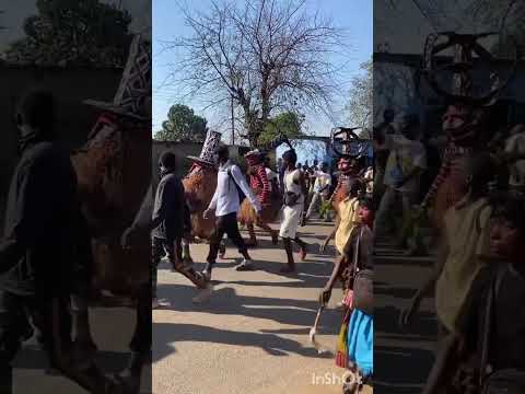 Only In Livingstone Makishi Viral Shorts Trending Shortvideos Africa Traditional Culture