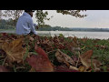 Capture de la vidéo Jd Crosson - Shots Fired (Photo-Shoot)