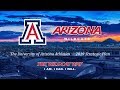 The University of Arizona Athletics Strategic Plan 2019
