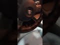 Bmw Z4 Tip1 Identify 2 5i Vs 3 0i Shorts Bmw Z4 Tip1 Identify 2 5i Vs 3 0i Shorts
