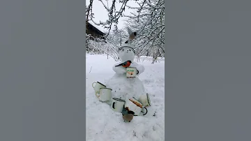 Оригинальная кормушка для снегирей⛄#shorts