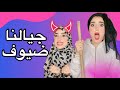 جايلنا ضيوف والرعب بدأ مش هتصدق اللي حصل جايلنا ضيوف والرعب بدأ مش هتصدق اللي حصل