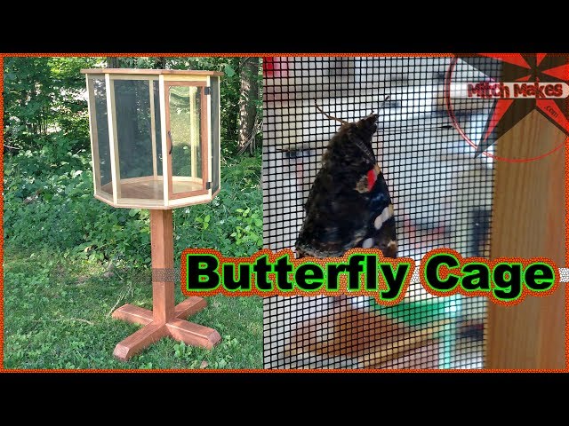 Make a Butterfly Cage 