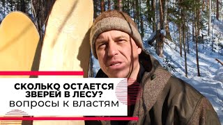 Учёт зверей в охотхозяйстве, дискуссия по острым вопросам с властями