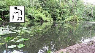 Putting the RC boats on Abbots Pool 190822 Fixed Camera