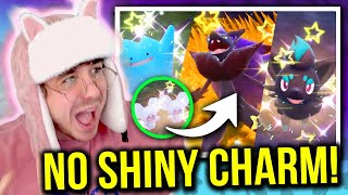 I found *EVERY* Disguised Shiny in Pokemon Violet! (FULL ODDS ZORUA, ZOROARK, AND DITTO)