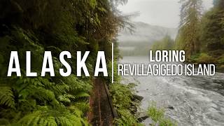 Exploring Loring, Alaska Alone in the Rain - Ep. 36
