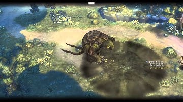 Tree of Savior - Wizard Closed Beta Gameplay Footage