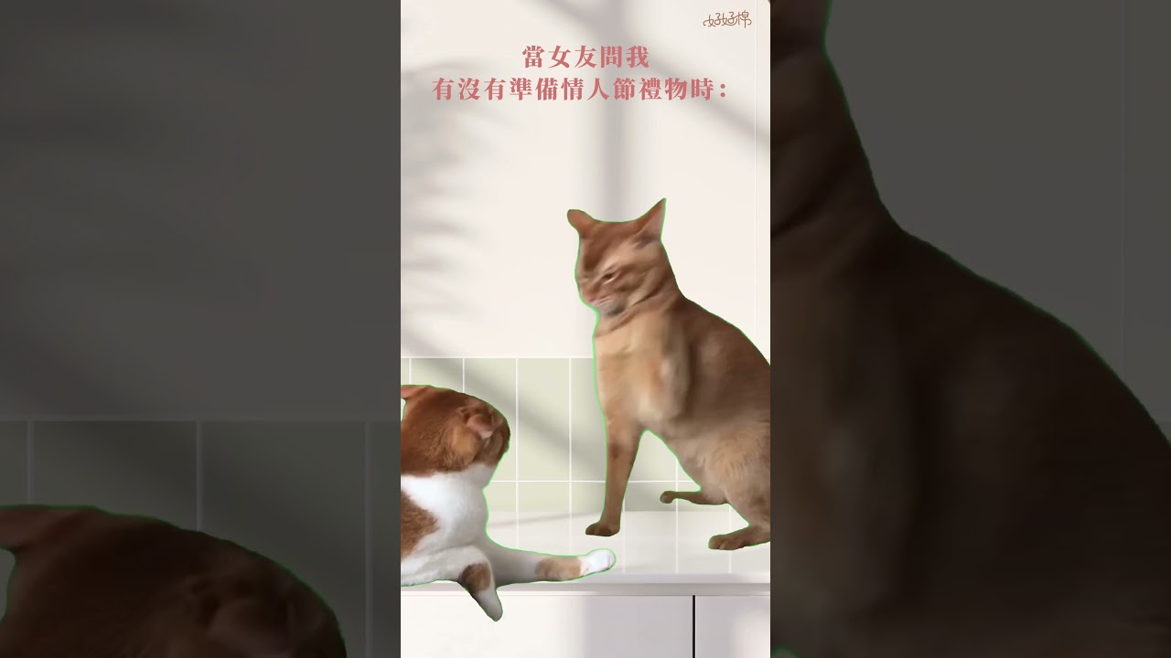 快把這隻影片傳給男友看😎