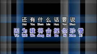 劉芳 《 回心转意 》 Hui Xin Zhuan Yi