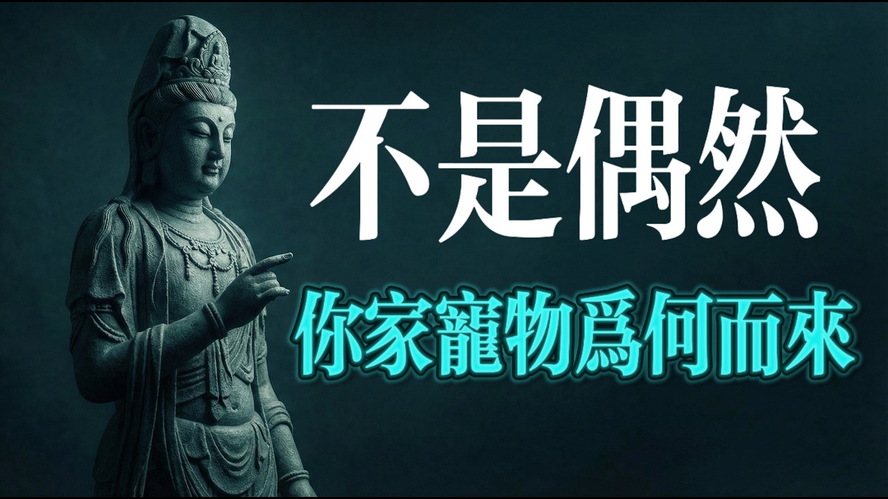 你的寵物為何而來,佛說每一次相遇都不是偶然#佛學 #佛陀 #寵物 #毛孩子 #貓 #狗 #前世今生 #輪迴 #因果 #因緣 #業力 #無常 #放手 #慈悲 #眾生平等 #心靈療癒 #心靈成長